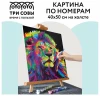 Картина по номерам на холсте ТРИ СОВЫ "Яркие краски" 40 x 50 см с акриловыми красками и кистями RE-КХ_44162