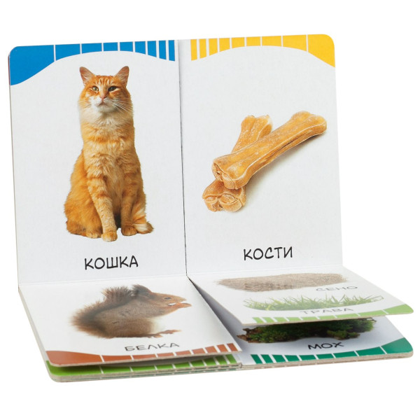 Книга: Кто что ест (Первые слова) ROS-32512