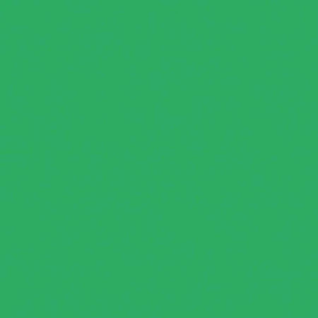 Фотокартон FOLIA 300 г/м2, 50×70 см, 1 лист, изумрудно-зелёный FL-6154/1