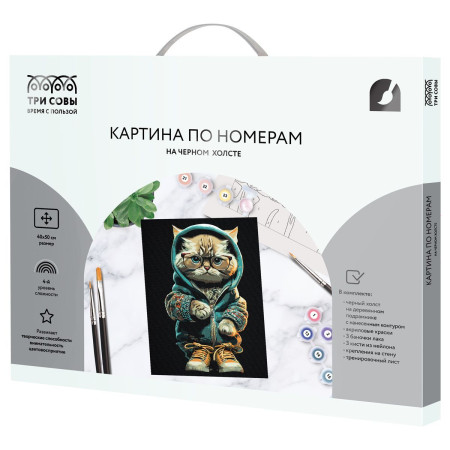 Картина по номерам на черном холсте ТРИ СОВЫ "Стильный кот" 40 x 50 см, краски и кисть RE-КХп_48163