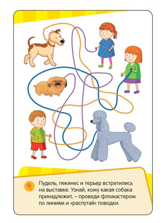 Разв.карточки. Развиваем логику, внимание, память (Готовимся к школе 5+) ROS-35799