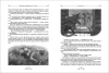 Книга: Волков А. Волшебник Изумрудного города и все-все-все (Все истории) ROS-28489