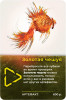 Настольная игра: Зона: Тайны Чернобыля MAG915279