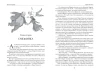 Книга: Все истории о Мэри Поппинс ROS-43794