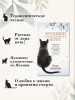 Книга: Хроники странствующего кота. Арикава Х. The Big Book. Азбука EKS-191273