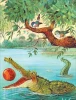 Книга: Пейшенс Дж. Путешествие с сюрпризом ROS-41012