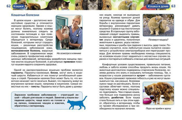 Книга: Кошки (ДЭР) ROS-17090