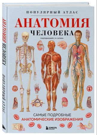 Книга: Анатомия человека. Популярный атлас. Самые подробные анатомические изображения EKS-980351